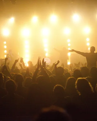 Taylorville - A Tribute to Taylor Swift