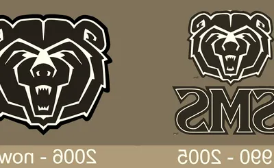 Missouri State Bears