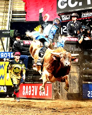 PBR Lewisville
