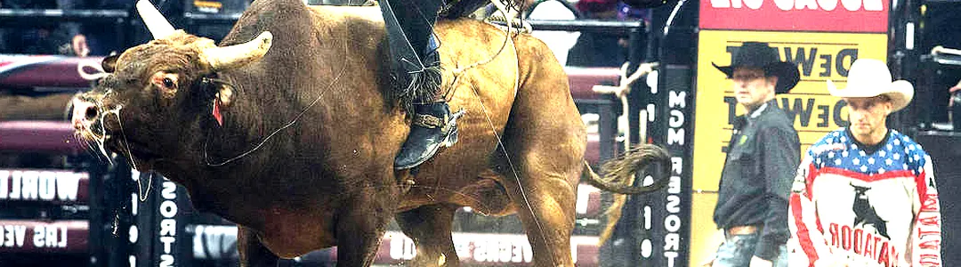 PBR - Professional Bull Riders