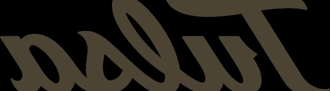 Tulsa Golden Hurricane