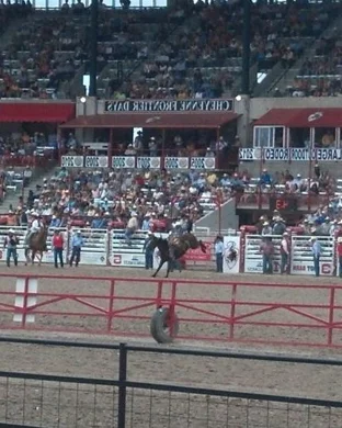 Dallas Open - Qualifying Day 2