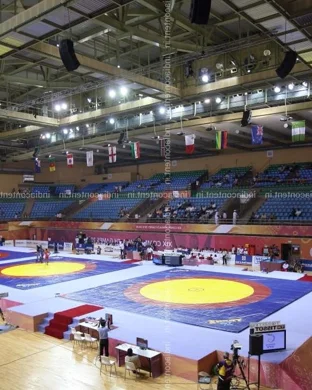 MaskedMania: Lucha Libre